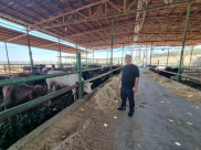  جمعية يافا تُطلق حملة جمع الاشتراكات لمشروع الأضاحي لعام 2022 